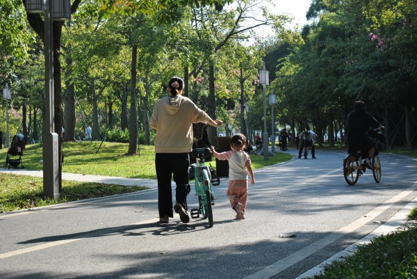 顺峰山公园景点介绍
