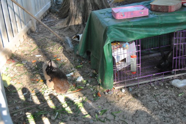 顺峰山公园景点介绍