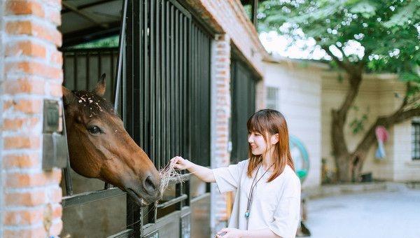 男人永远不会拒绝旧情人