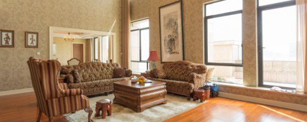 冬天室内盆栽养什么植物好