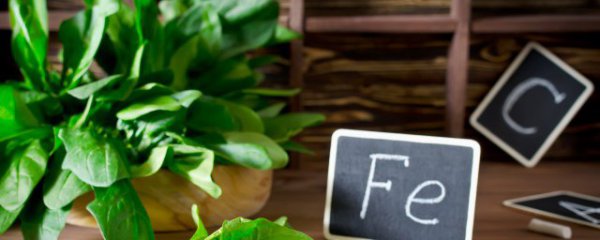 秋天适合种的蔬菜