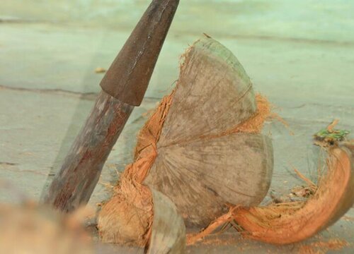 椰子皮怎么剥开