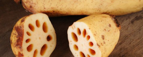 冬季生莲藕的储存方法