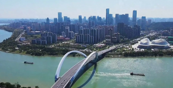 南宁哪个区最有潜力发展