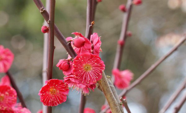 射手男疯狂爱你的表现有哪些