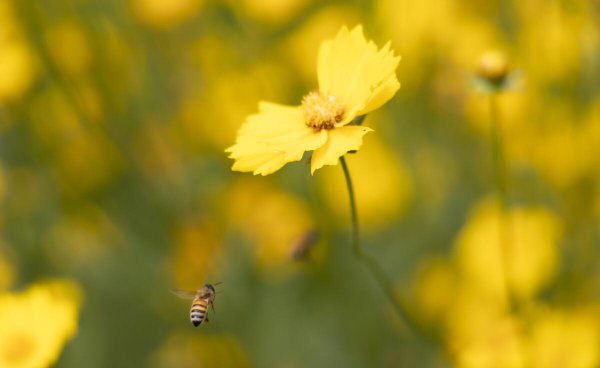 射手男疯狂爱你的表现有哪些