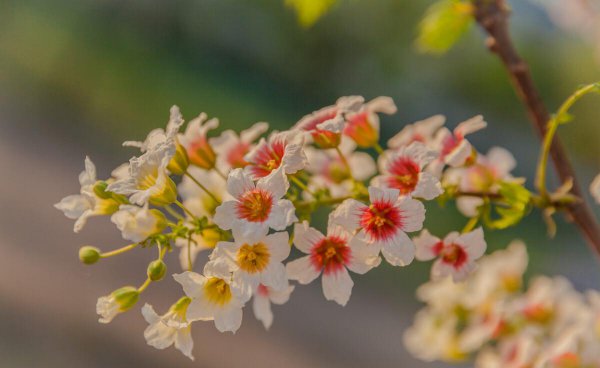 射手男疯狂爱你的表现有哪些