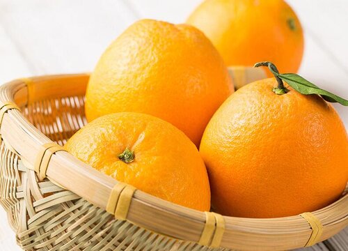 橙子什么时候成熟