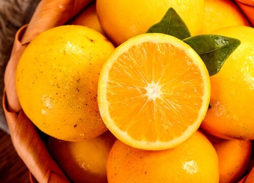 橙子什么时候成熟