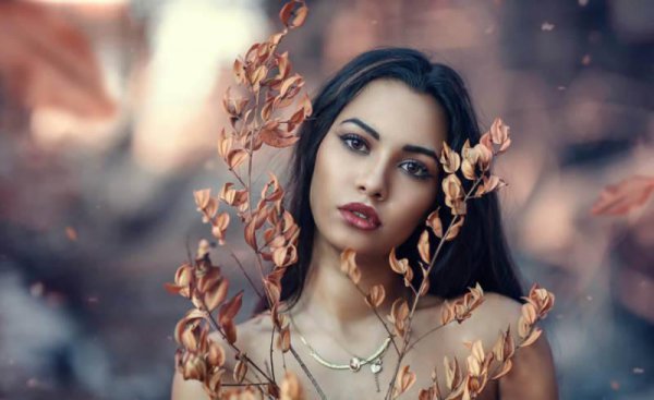 水瓶座是什么象星座