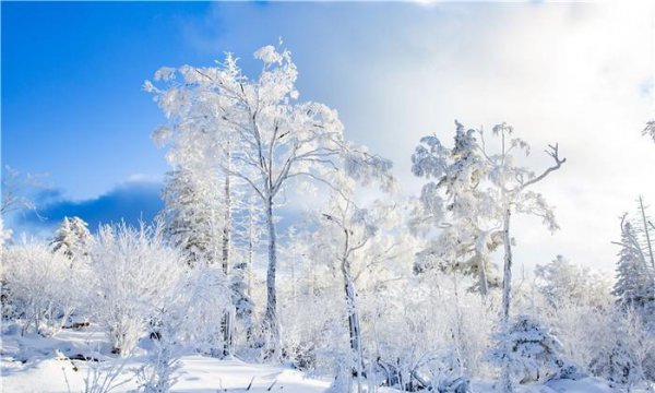 吉林雾凇什么时候去最佳