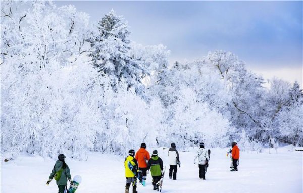 吉林雾凇什么时候去最佳