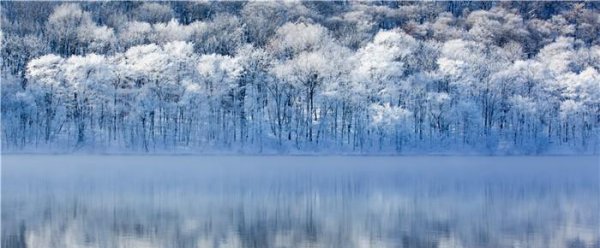 吉林雾凇什么时候去最佳