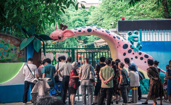 护理和幼师哪个专业更好