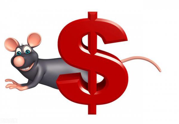 财大气粗属什么生肖