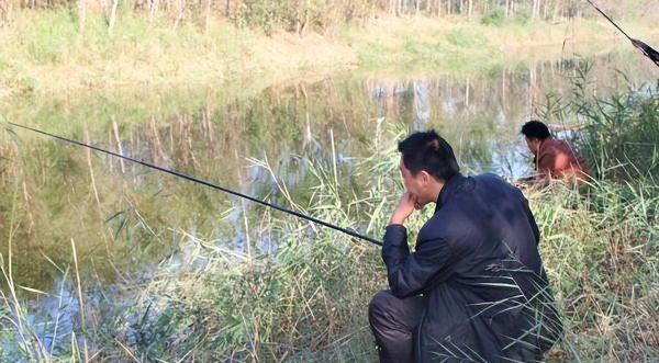 白天钓鲶鱼的经典方法