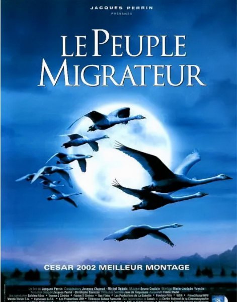 什么动画片适合孩子看有教育意义的