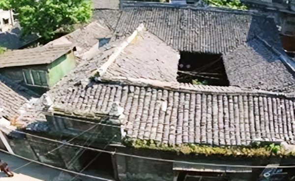 冯国璋和冯巩是什么关系