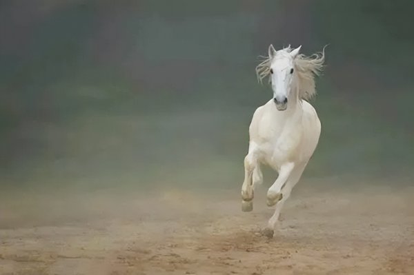 冯国璋和冯巩是什么关系