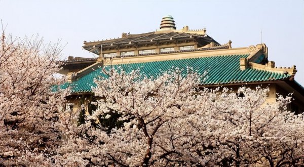 多少分能考上武汉大学