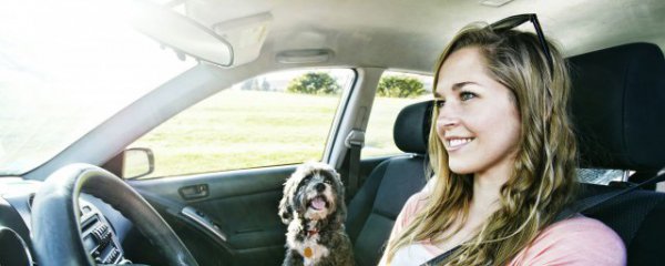 车里摆放什么物件行吗