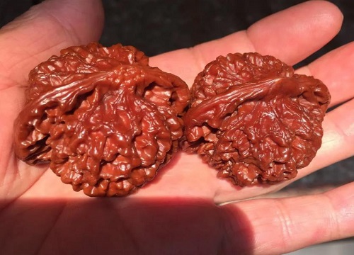 文玩核桃什么品种好盘好看