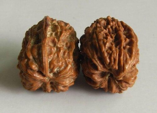 文玩核桃什么品种好盘好看