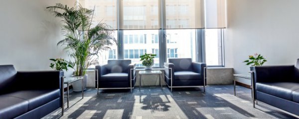 室内气味怎么去除