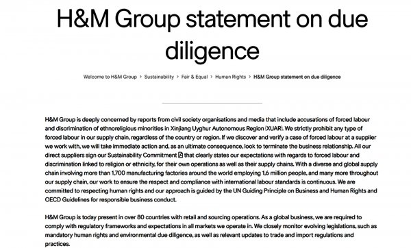 棉花bci是什么意思