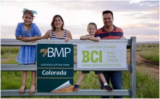 棉花bci是什么意思