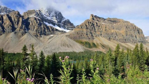 美国气候以什么为主