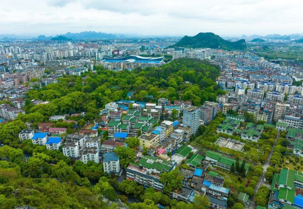 桂林人口数量是多少