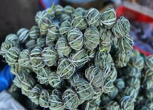 鹧鸪茶是什么树的叶子