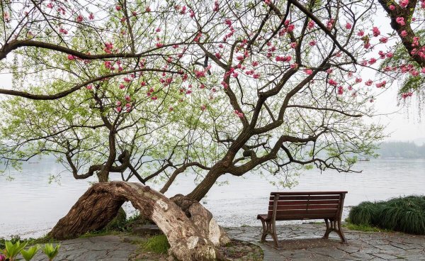 苏堤春晓在哪里