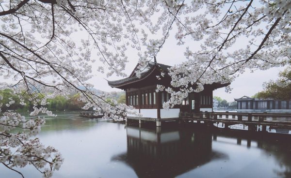 苏堤春晓在哪里