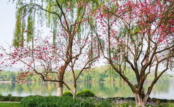 苏堤春晓在哪里