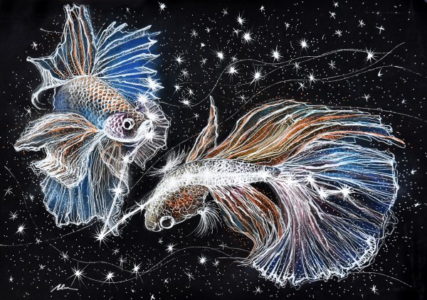 会用生命保护双鱼女的星座男