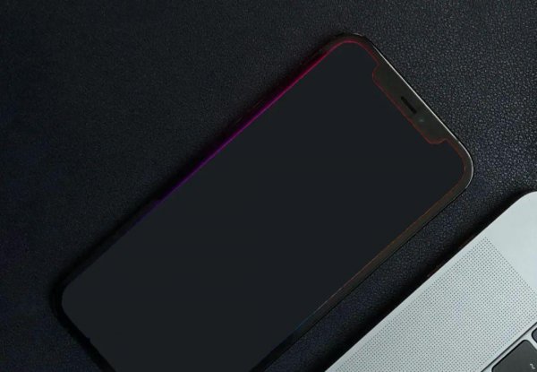 苹果12黑屏了怎么恢复正常