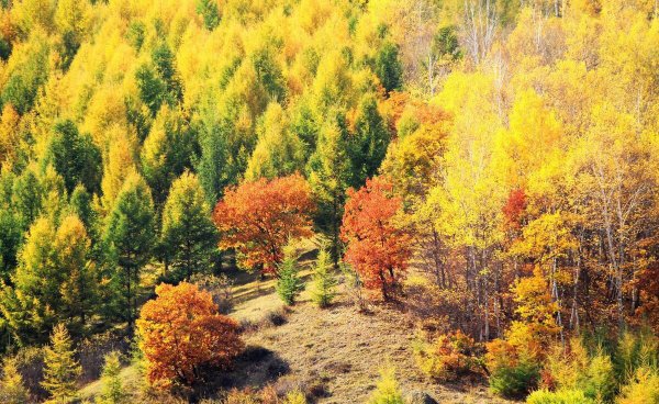 河北属于什么地区