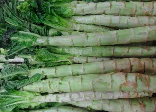 莴笋是热性还是凉性的