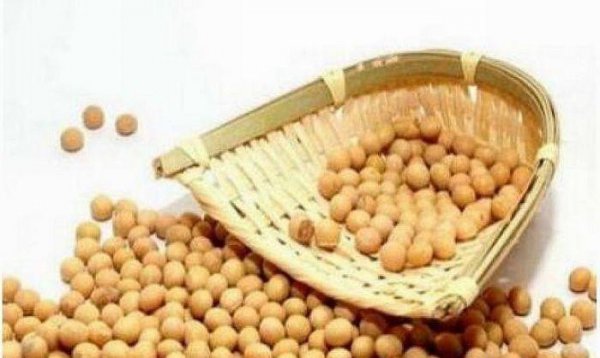 生黄豆和熟黄豆打豆浆哪个好