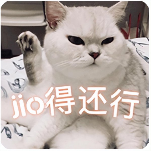 银渐层是什么猫配出来的品种