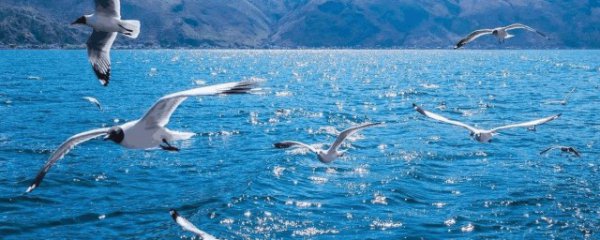 大理几月份去最好