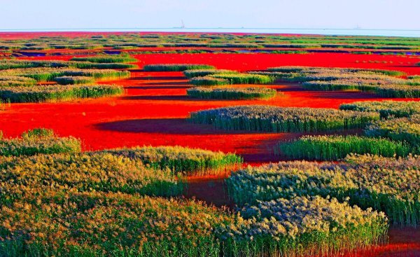 世界八大奇观有哪些