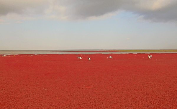 世界八大奇观有哪些