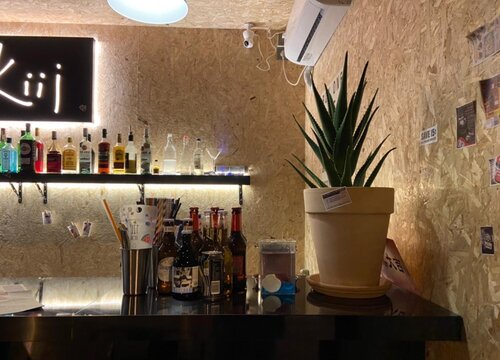 盆栽芦荟的养殖方法