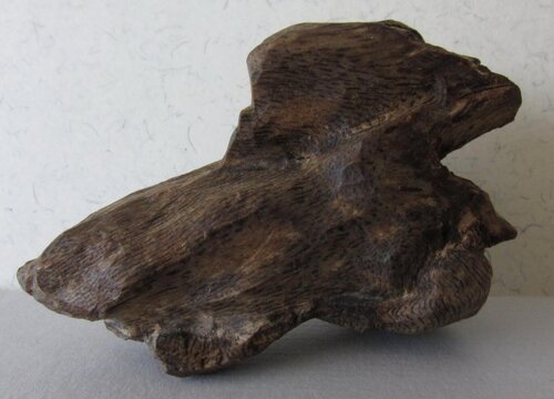 什么沉香品种最好