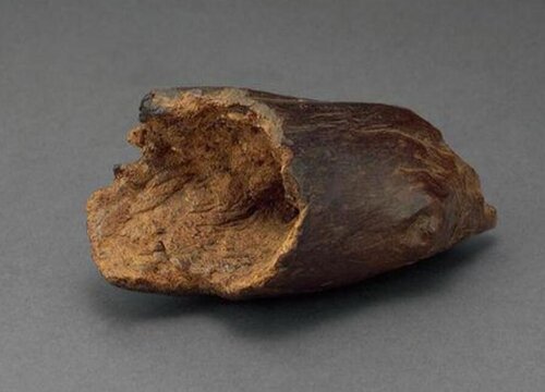 什么沉香品种最好