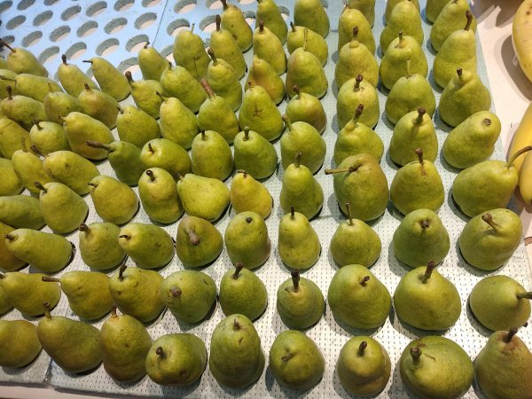 中国十大名梨有哪些