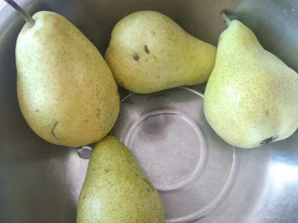 中国十大名梨有哪些